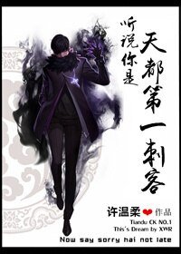 聽説你是天都第一刺客
