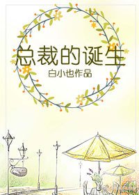 總裁的誕生